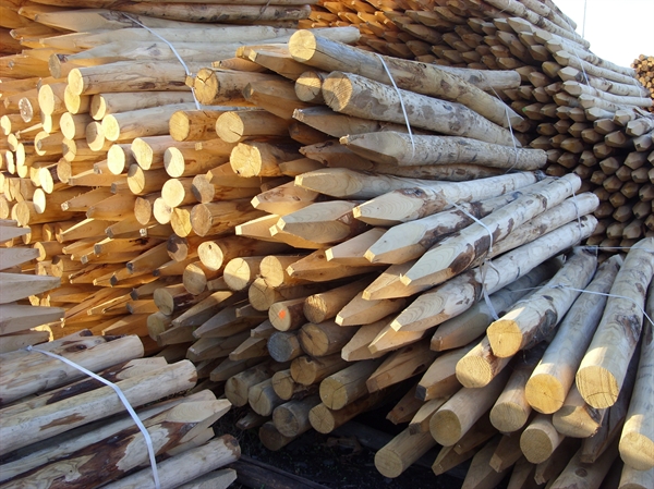  Rangliste unserer qualitativsten Holzpfahl kaufen